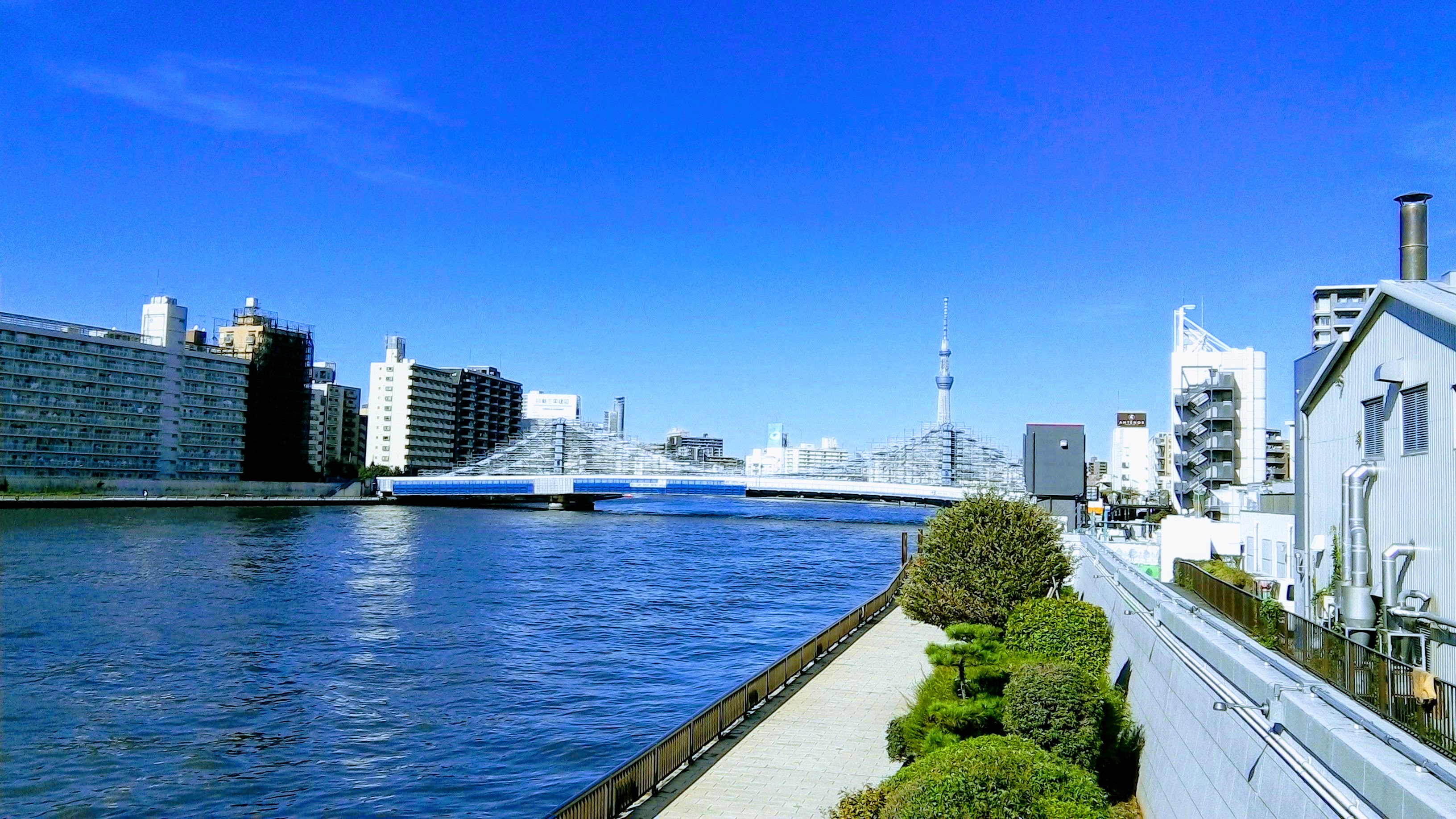 江東区での奉仕で